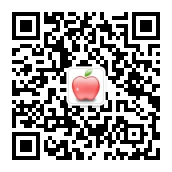 开云官网入口网页是什么